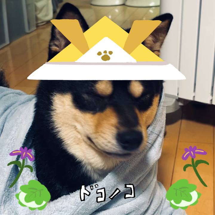 F1b0e462 e32b 42d7 b6c4 55eae0ff4264 1714886361950