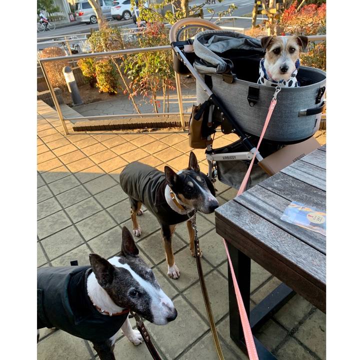 F1b0e524 d743 4fb6 9ccc f528c1f5ca76 1609588032785