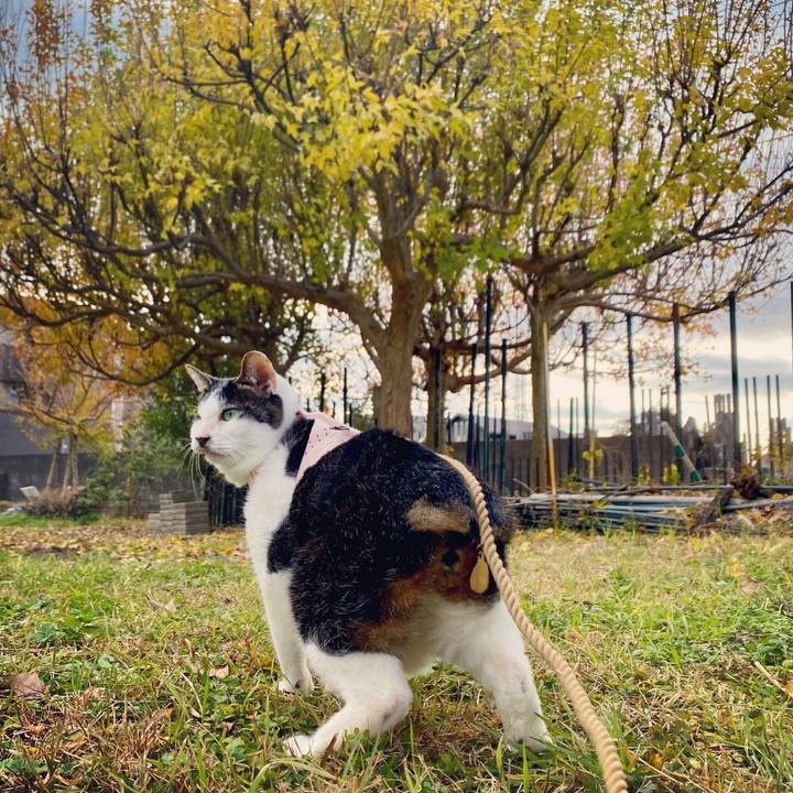 F1b0f777 859d 420e 8a48 60e85590eb35 1607410494199