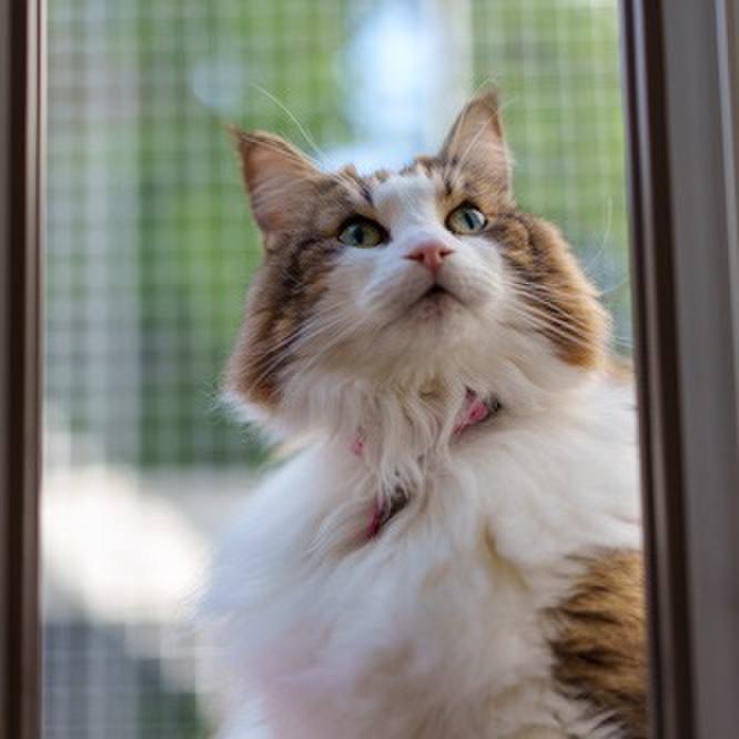 F1b0fd3e fd4b 4db7 a7f8 ccfb7bce15a9 1763695419128