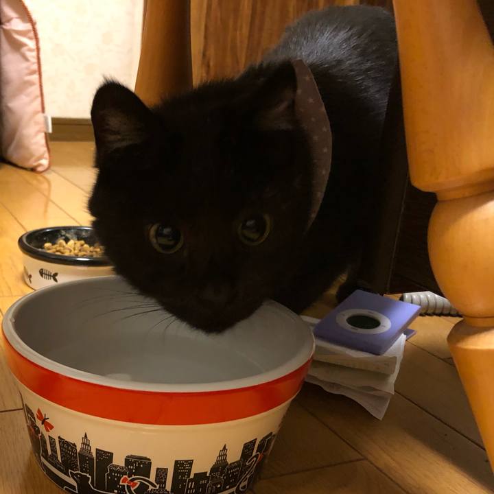 F1b0ffbe 8cf0 4980 9d2f 0f7dd9ab2ba3 1573561793703