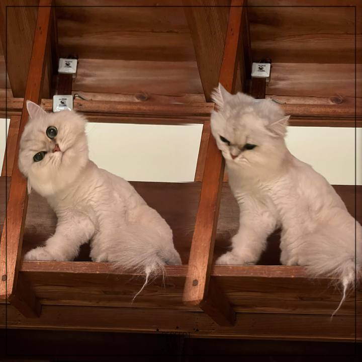 F1b13582 1ad3 458c 90b3 5e7b06673e5d 1664454890189