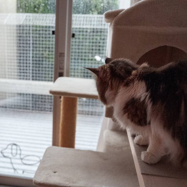 F1b18af9 b4e7 43ff 9571 7c8a7341abe6 1742342473345