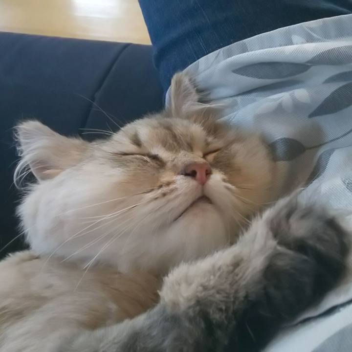 F1b1a3bd 690d 4d10 8276 7cffc4baa6ba 1591779579742