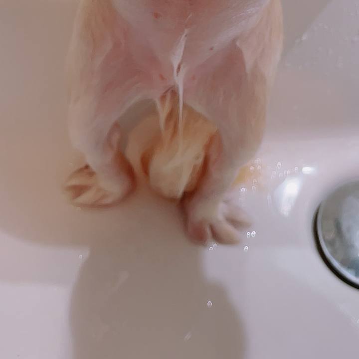 F1b1c2a5 5b9a 4280 af66 2eadc7ebce06 1757814469016