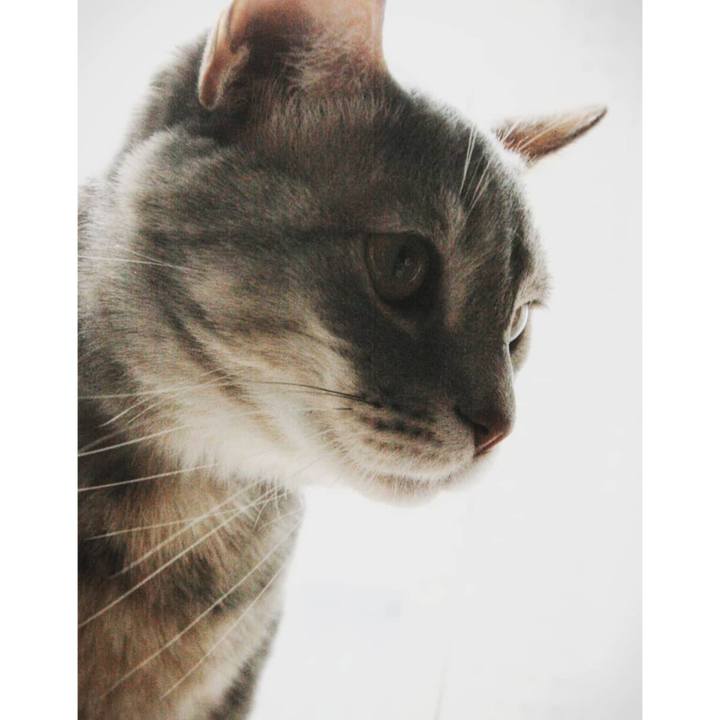 F1b1c6f7 5c62 4490 9b24 f5c8e54fcd41 1520565315498