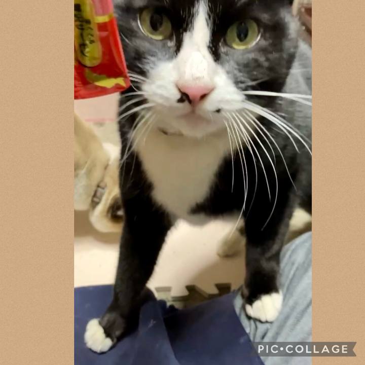 F1b1ebdf 3859 48f8 8895 4afd2eebef92 1738144062056