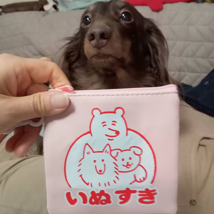 F1b2378d 5d63 436a 8ba4 636837a405e5 1773437676871