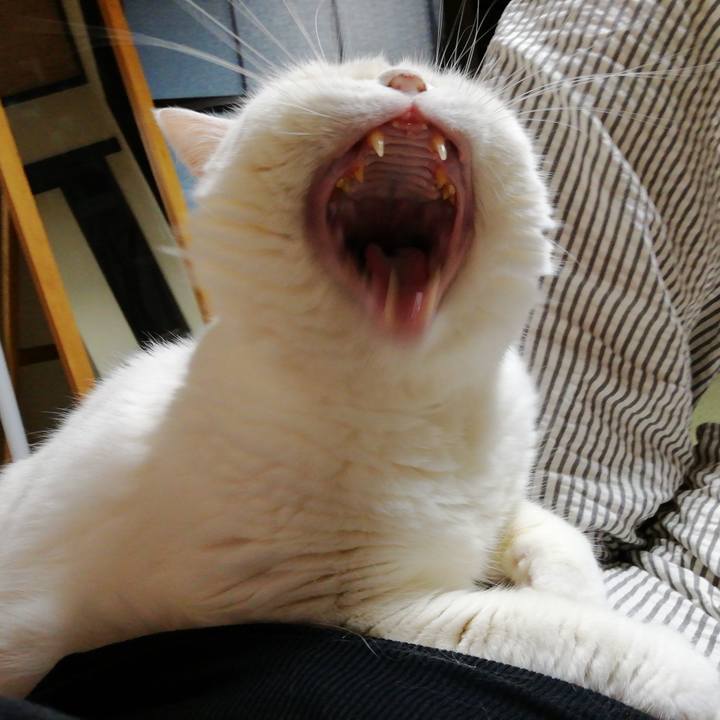 F1b25914 0ee8 4a55 b3dd c89eba29c630 1658569193200