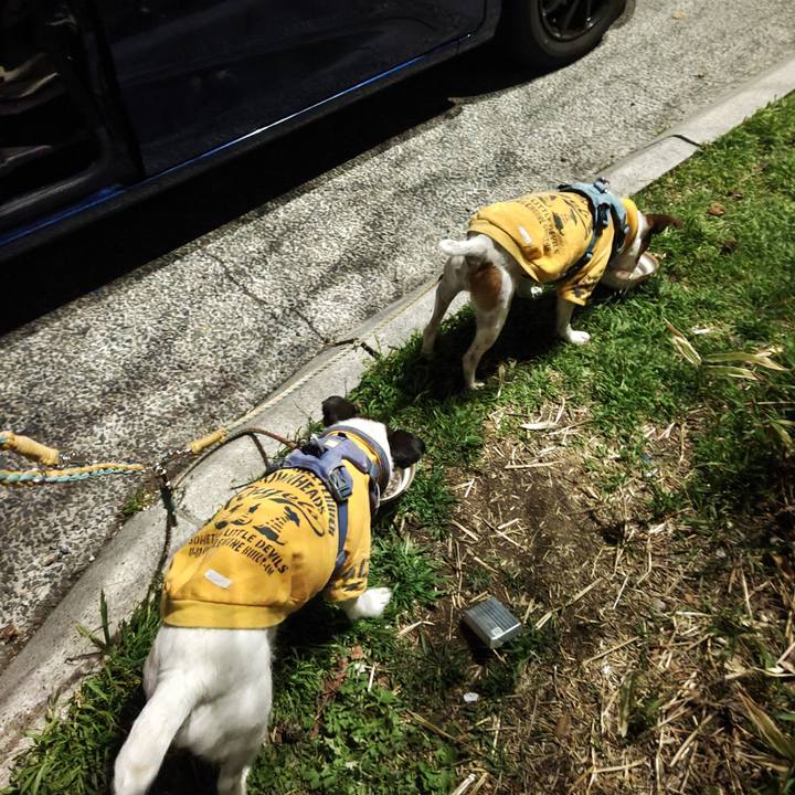 F1b2d35b f426 440d ae04 0ebb078a987f 1742650281447