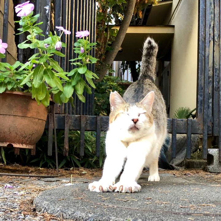 F1b31b98 7fe5 4179 9529 5c8f90d771a6 1601366259899