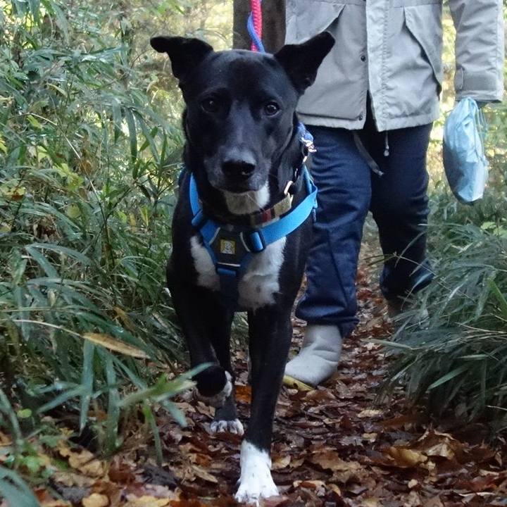 F1b3487d dca0 4fcf bc76 b9436ce59544 1607213357875