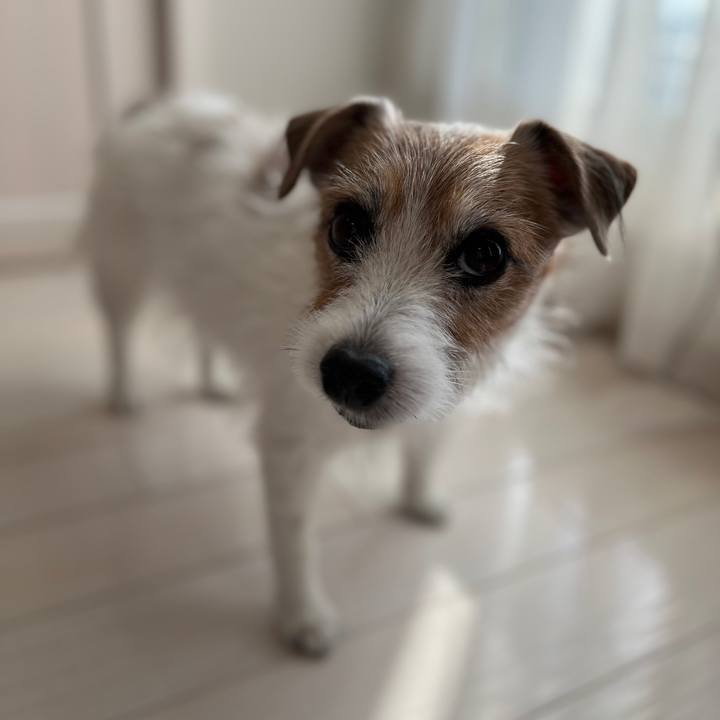 F1b35f5e 27b6 4ab4 8baa 6416abee7da0 1730698083449