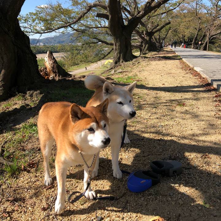 F1b36b41 8a81 45f6 8501 6756d71c99c6 1540699485080