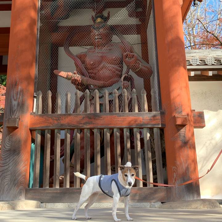 F1b376cb 8383 4ae7 82e4 851e0e7970ca 1575299574518