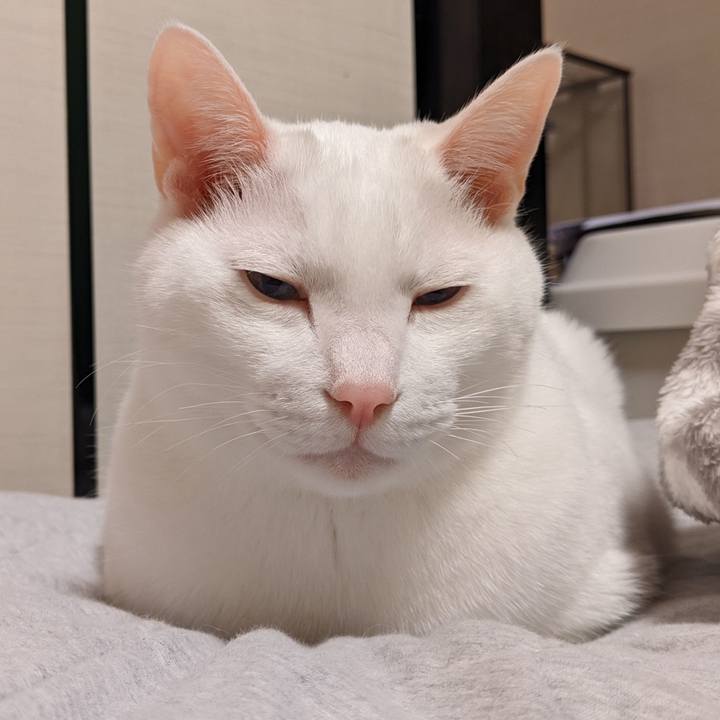 F1b3a5ce 84e5 4e4a a702 a16ec4435a7c 1648300198155