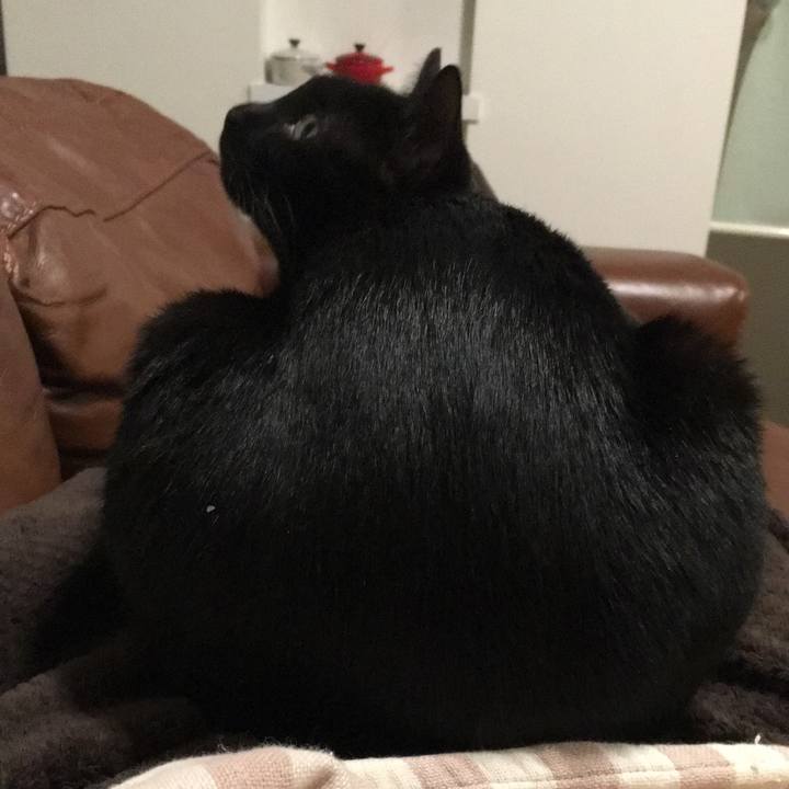 F1b3be4c 3e35 4247 aaeb ce9c57ed973b 1509967779738