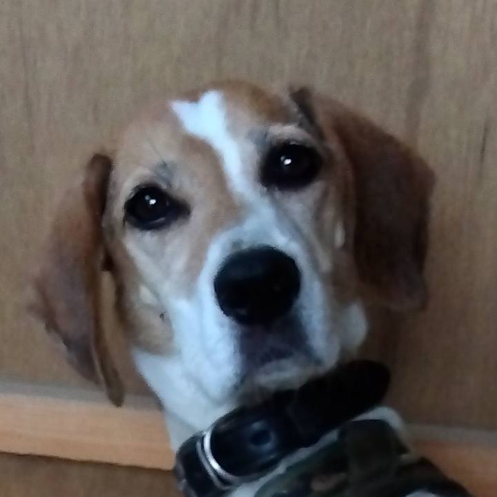 F1b3ebb5 6fd4 479f a0da f7c8ca95010f 1696739085071