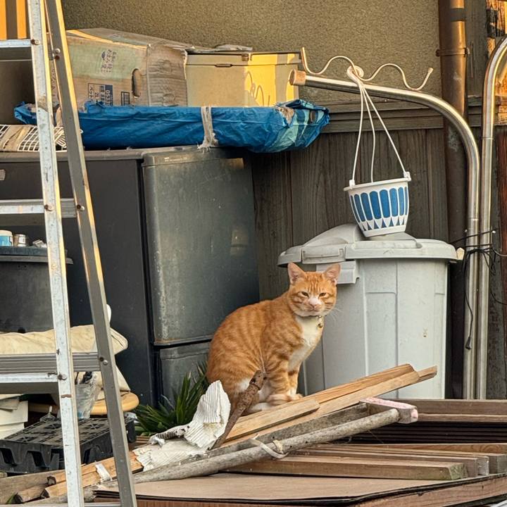 F1b429af 293c 4b10 9b1e 0f5f1e13b082 1763268967042