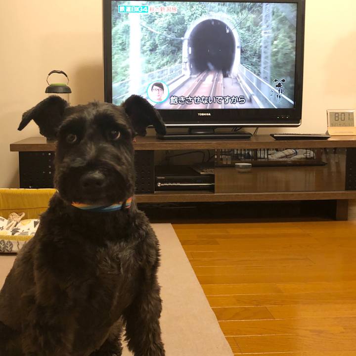 F1b45eed fff7 44c9 8e70 e33ac8a98150 1538046339948