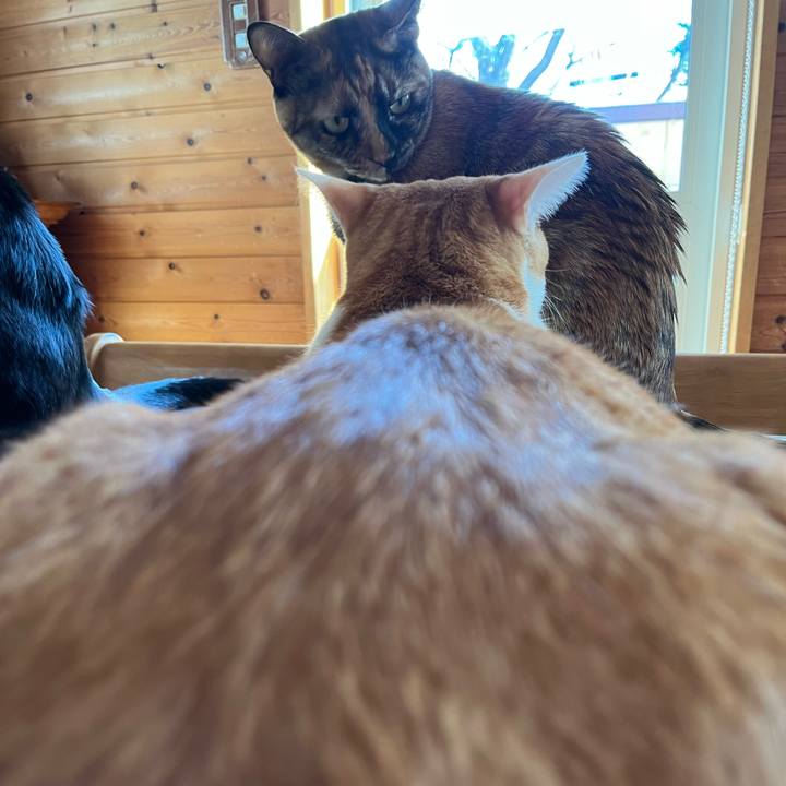 F1b463e6 498e 4e3f 9ed3 97a206b053e0 1700452564247