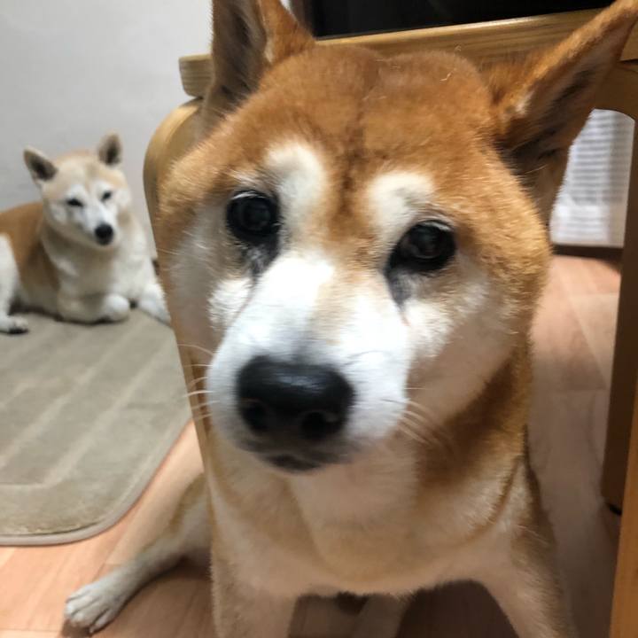 F1b486a6 0419 43c5 b218 0bc031709efb 1570748001526