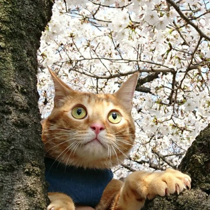 F1b5025f 6d06 41a1 b688 c72d07a438d9 1521952225475