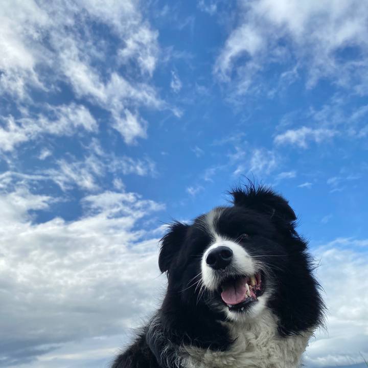 F1b54a23 2c83 49a4 99e8 cf51799e8bb1 1595635311751