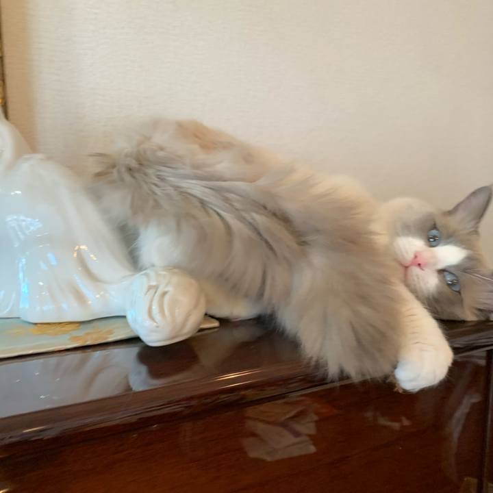 F1b54cce 4433 4ce7 a248 8604b8195ae3 1646101738834