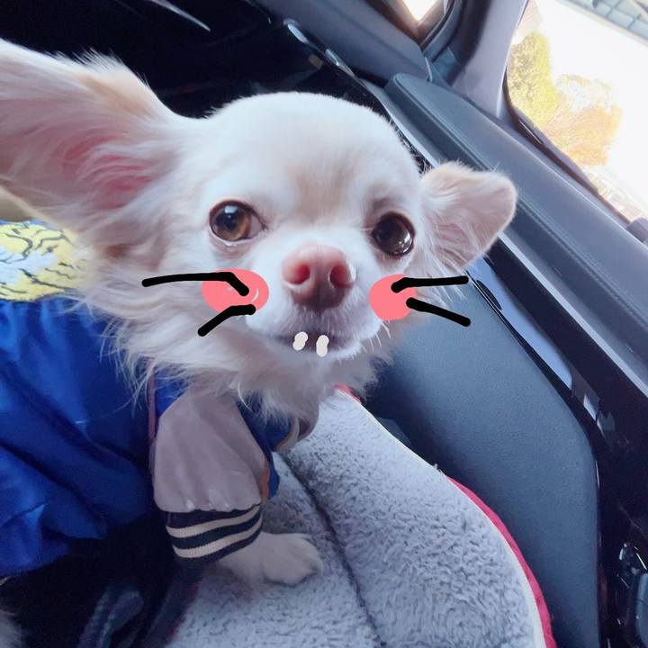 F1b58b9e 79d3 4b6a 9624 9a7b898ee3ff 1732968720675