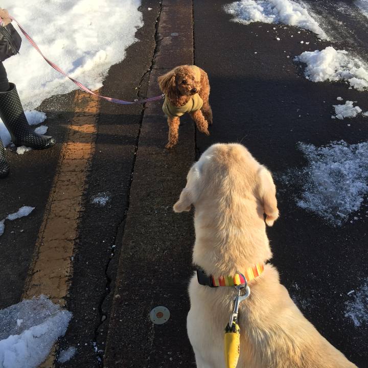 F1b5921c ff82 4808 b32e ec66447a892f 1518565115423