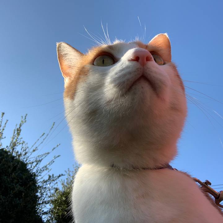 F1b5c772 023d 4a98 8282 2c108c1ebccc 1573343469921