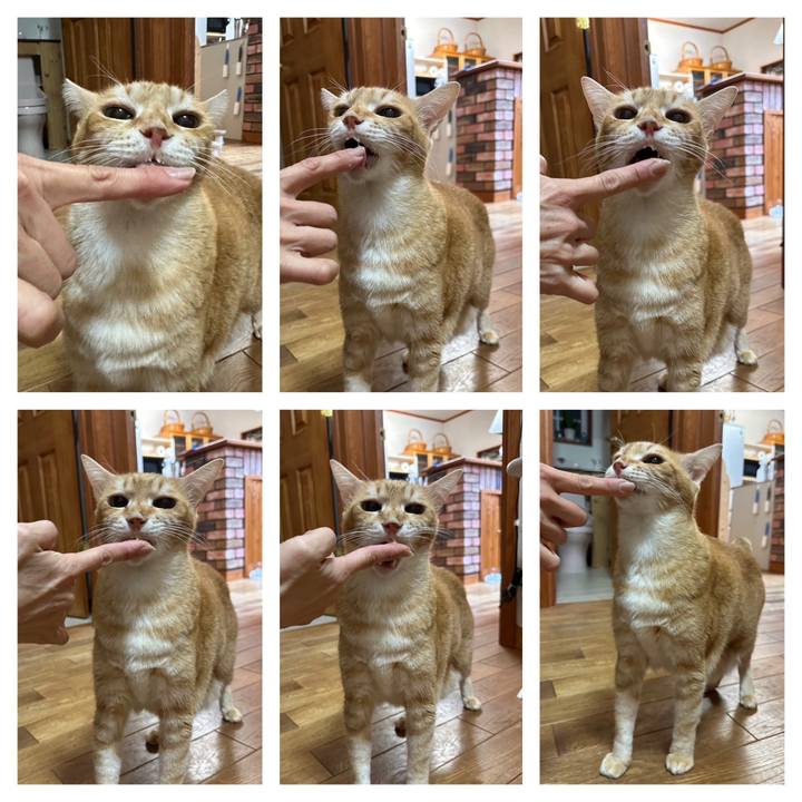 F1b5d487 8c1d 45c9 9609 6ac208c07847 1677232866662