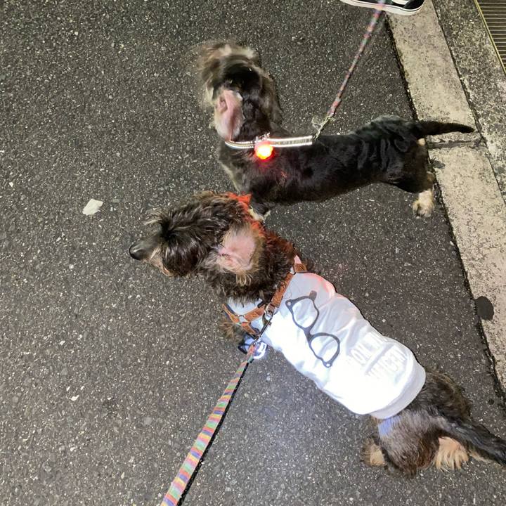 F1b5ee64 774f 4207 aedb 1dbc2bee5b03 1602339070549