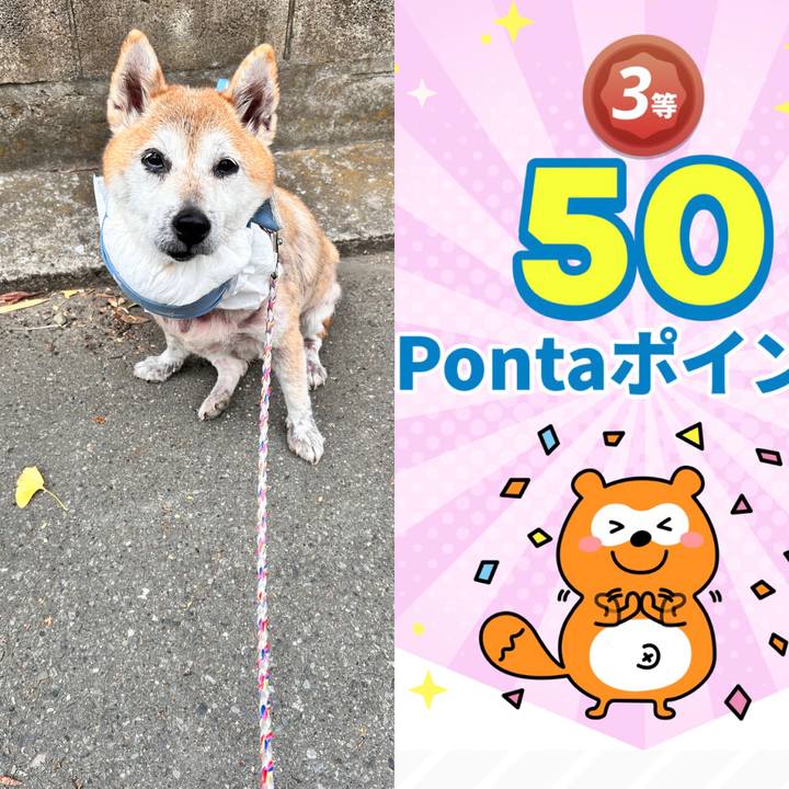 F1b61e27 61b0 4db3 8329 f7e772841ed1 1763869331827