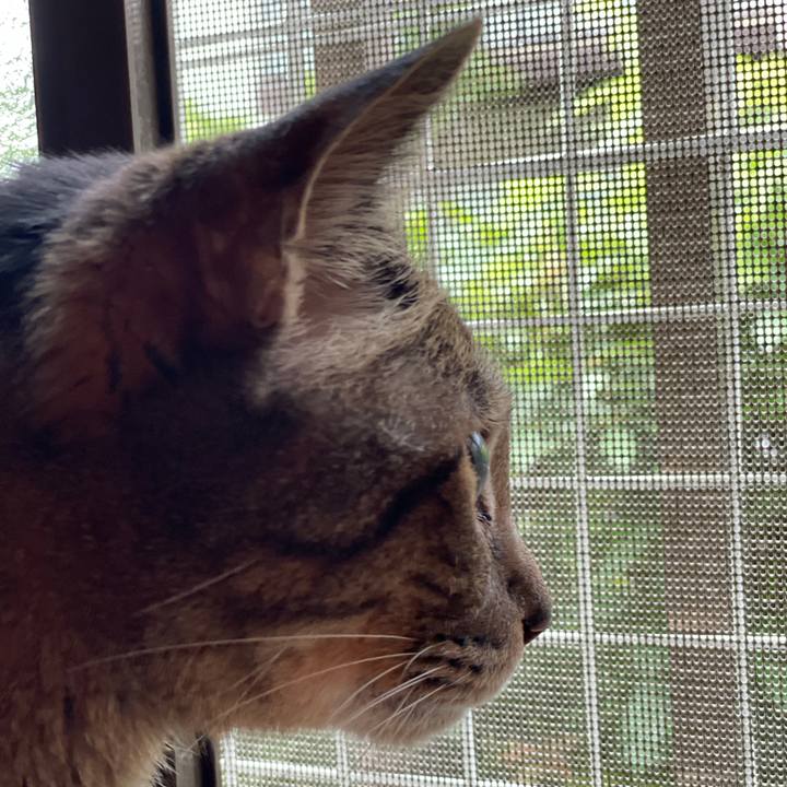 F1b621e2 12cb 425b 835a 211d58dee7c7 1622770347190