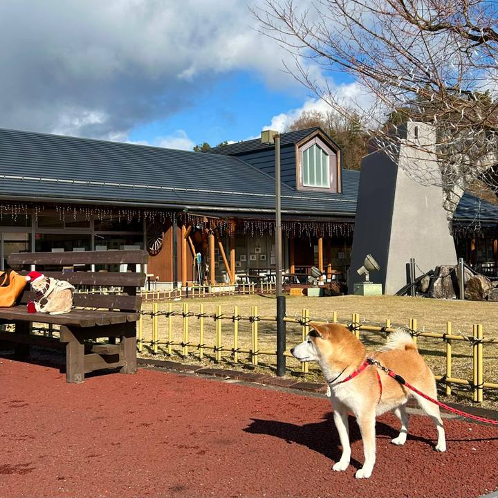 F1b662b0 23b3 40be ab3b a05e3d988fde 1735125086914