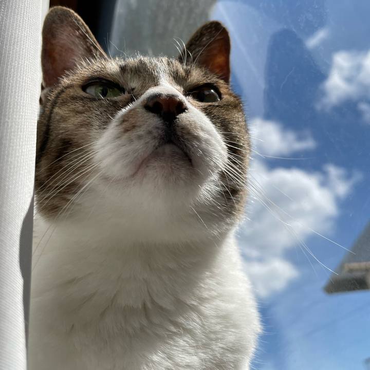 F1b67205 842c 4151 a2ec 6868a18ed666 1634608374070