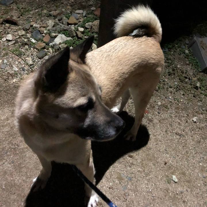 F1b67fba b2d7 4766 a21c 01fcedf76144 1609935554882