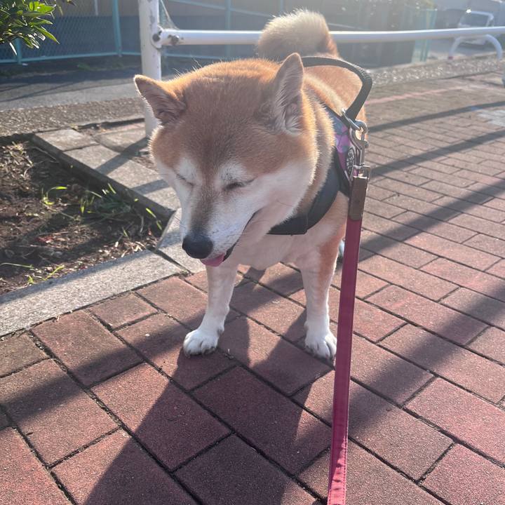 F1b6858d 35c1 47b4 8b5b 050001c0d926 1698473416590