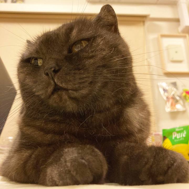 F1b695a1 40a1 461b 8543 2216d1ee5cab 1593796014299