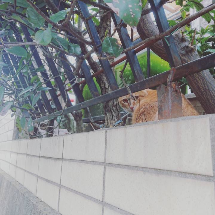 F1b6ac05 ca0b 48d9 a1db 6ff60e1df152 1550544477084