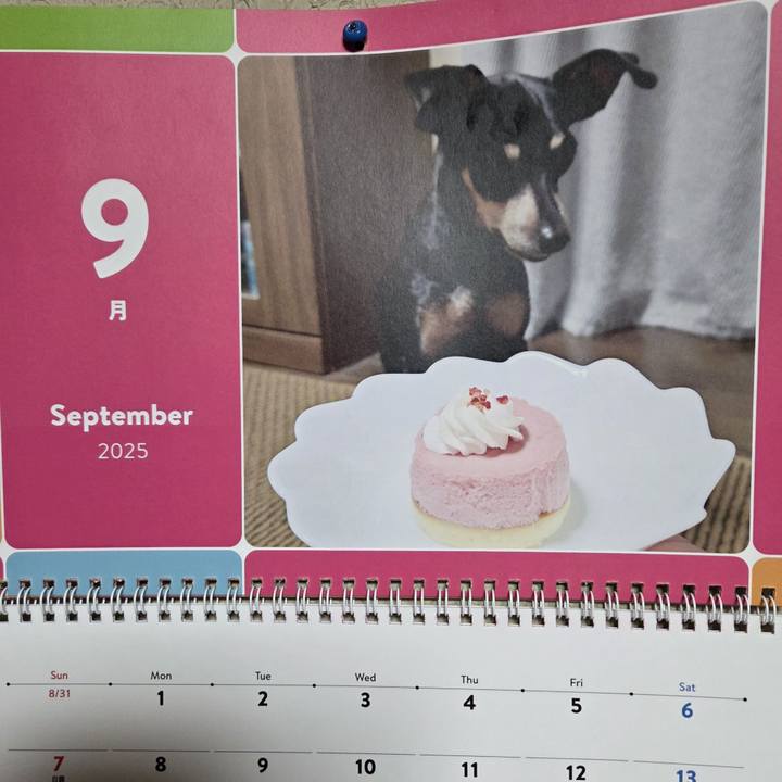 F1b6b82a 2476 4236 bf19 3e28517bf571 1756681087429