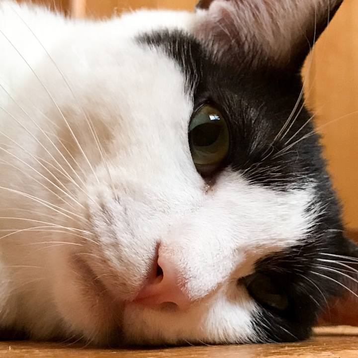 F1b6c434 559d 424d 91f0 7d9adb48e704 1533651822649