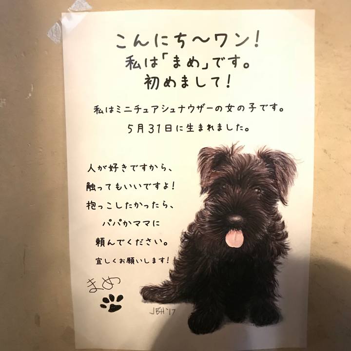 F1b6dc7c 340a 4d10 9af8 9584c9c6dd0f 1508391950314