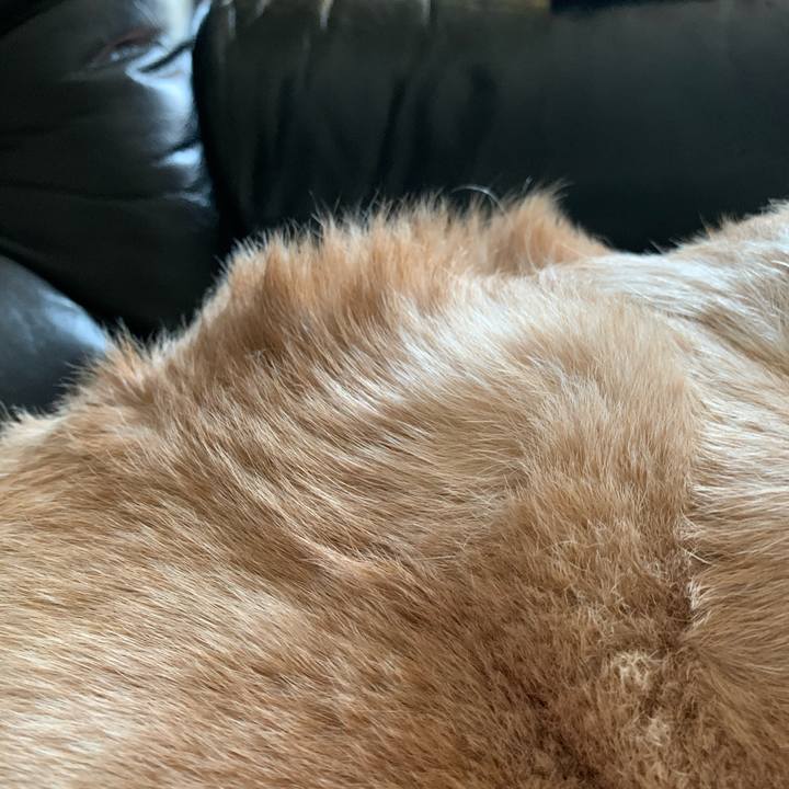 F1b6f359 c028 46c0 bc9b 6922372e9190 1613284808390