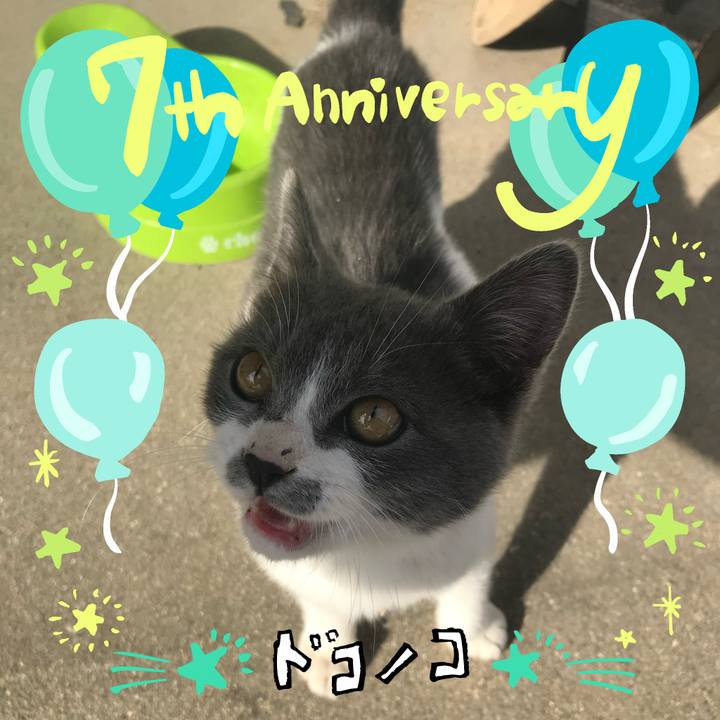 F1b78a00 6225 4d0e a0c2 191ea0033021 1685943823879