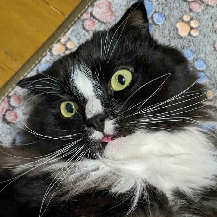 F1b78b9c 188b 4ee3 b6c7 48ad21050569 1703252561161