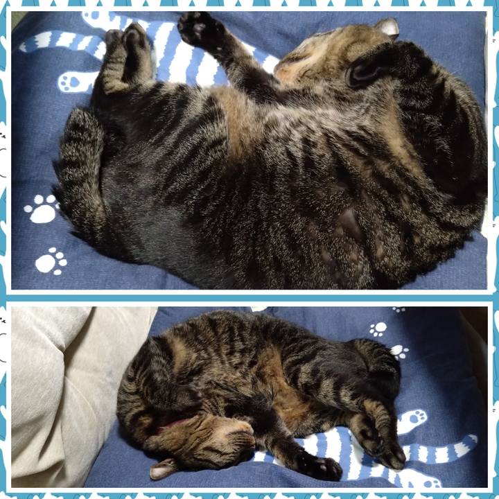 F1b79631 5333 4d79 a652 44dbff963332 1759503122100