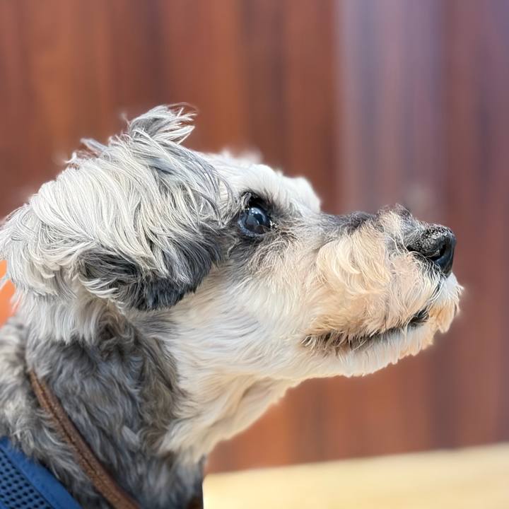 F1b7a6b4 cecf 479b b227 1d9e8892061f 1778082683835